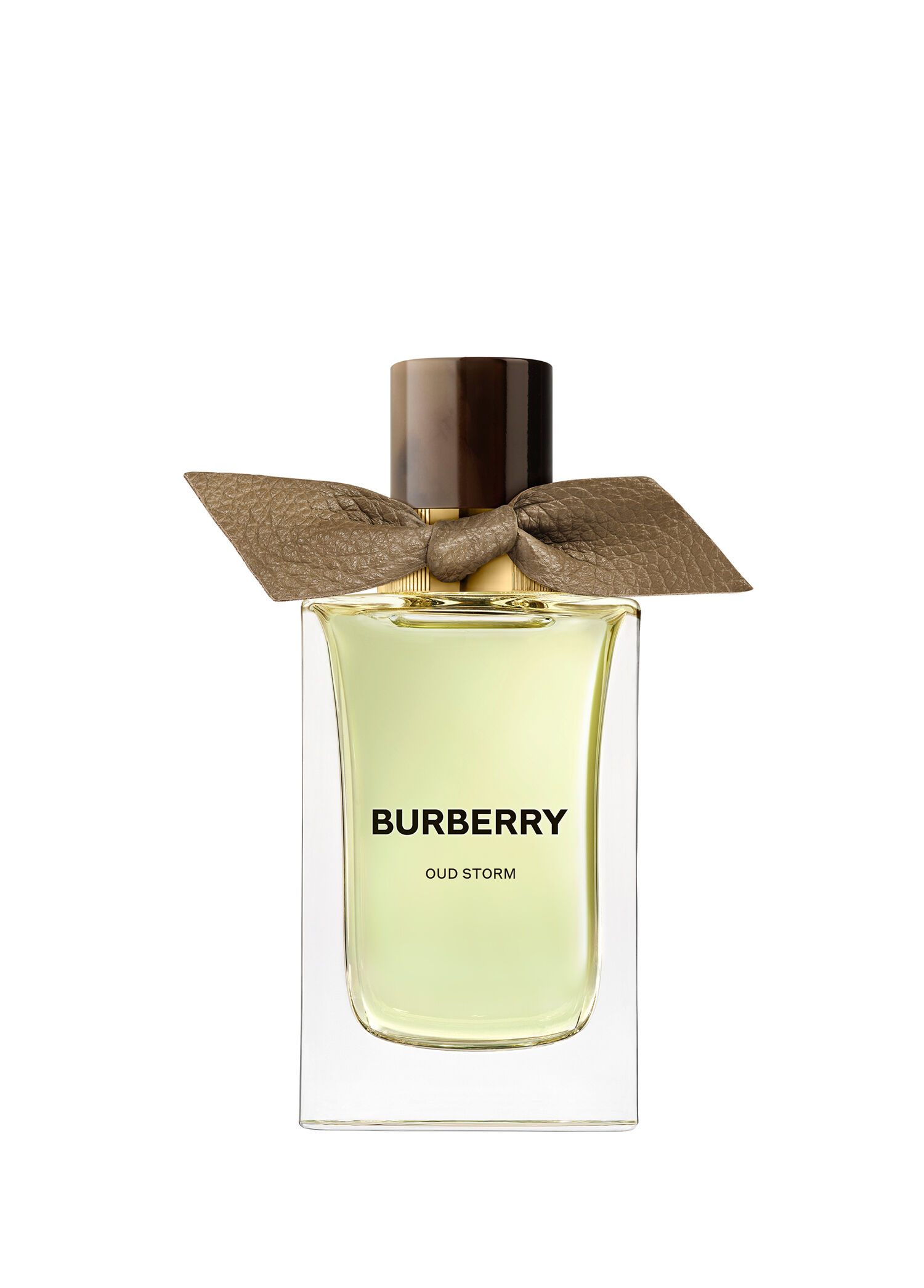 OUD STORM